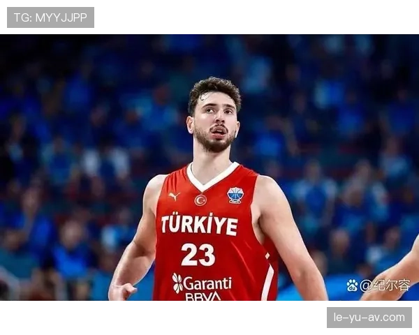 申京季后赛强势爆发，带领球队挺进下一轮