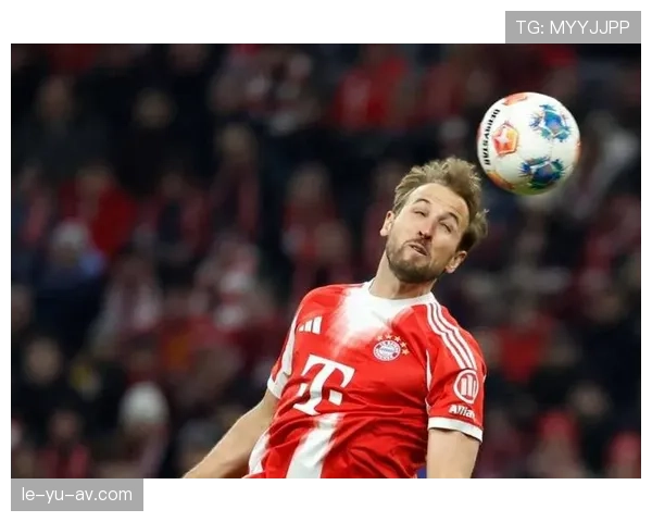 哈里·凯恩慈善活动介绍