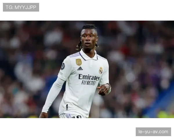 卡马文加与楚阿梅尼：后腰角色差异及法国队体系适配性分析